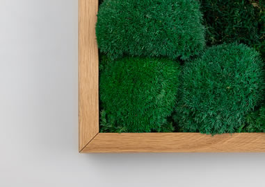 Detailansicht Rahmenecke Moosbild